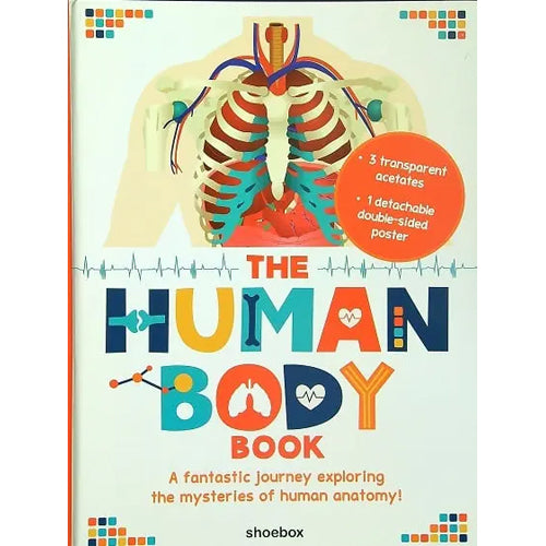 The Human Body Book Whirligig Toys