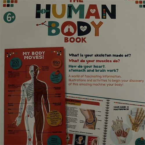 The Human Body Book Whirligig Toys