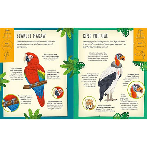 Book page with illustrations of a Scarlet Macaw and King Vulture, along with text about each bird.