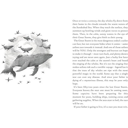 Usborne Adventure Gamebooks Storm Quest