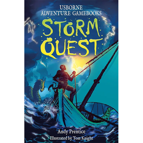 Usborne Adventure Gamebooks Storm Quest