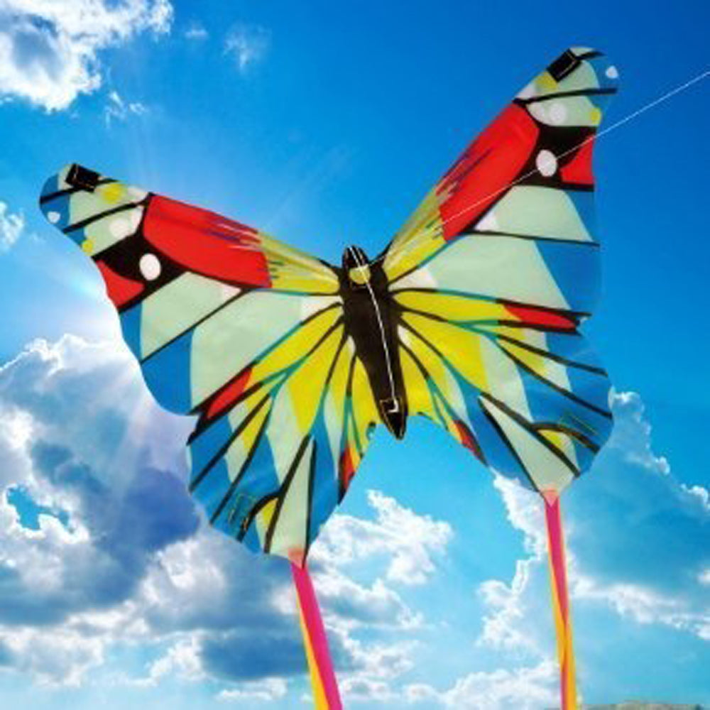 Mini Butterfly Kite Brookite First Kite