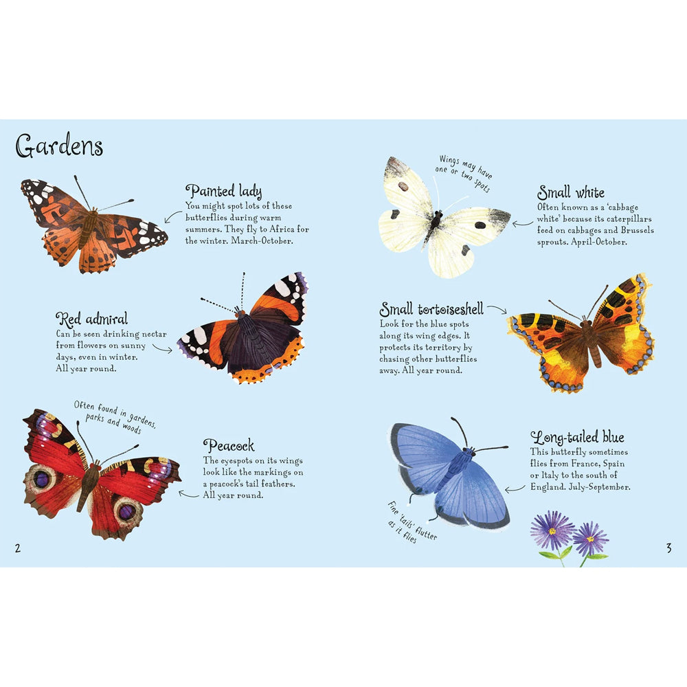 Butterflies To Spot Mini Book Usborne