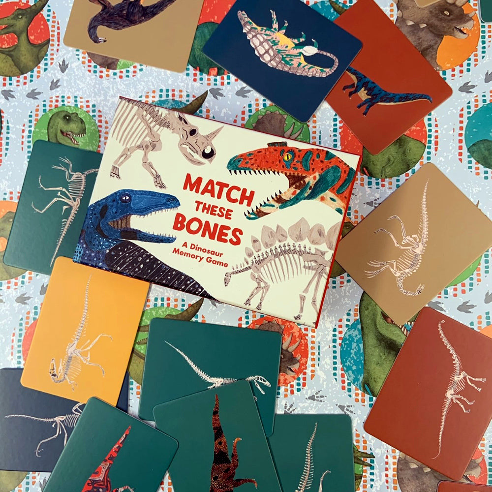 Match These Bones Memory Game Laurence King
